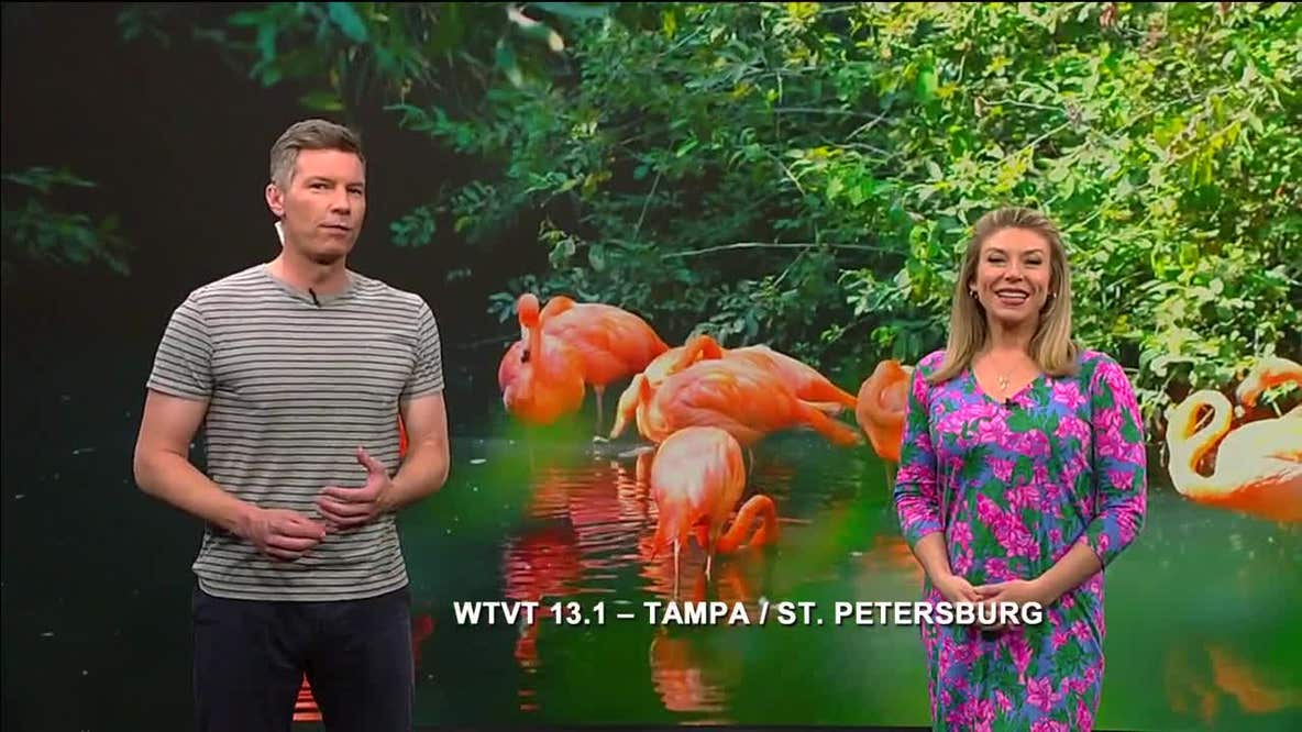 Florida Tonight: Episode 36